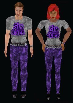 Click here to download all 6 Simslice Skins with logo on front and back...